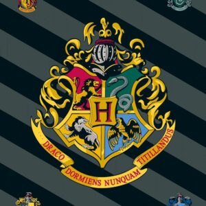 Kocyk polarowy 100x150 Harry Potter 0226 pled dziecięcy