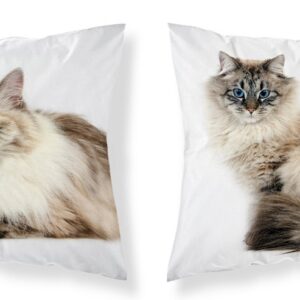 Poszewka dziecięca 40x40 kot MF 21 Kids 114