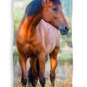 Ręczniczek do przedszkola 30x50 Koń dziecięcy Babies