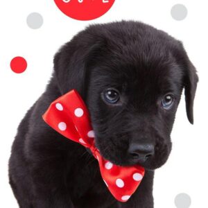 Ręczniczek do przedszkola 30x50 Pies dziecięcy Babies