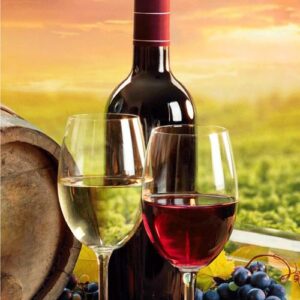 Ręcznik plażowy 70x140 Wino zachód słońca 0431 bawełniany